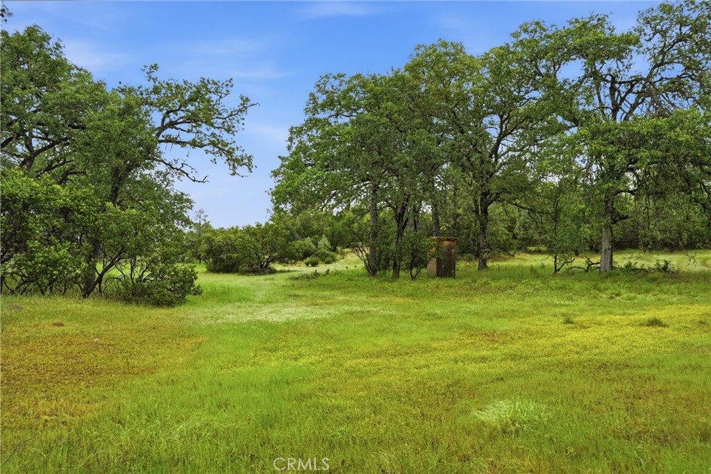 19894 Black Bass Pass Property Photo 10