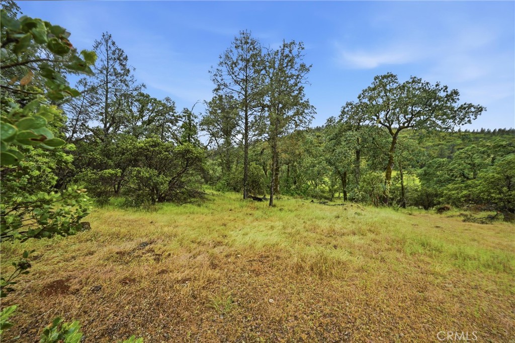 19894 Black Bass Pass Property Photo 11