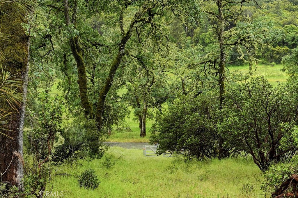 19894 Black Bass Pass Property Photo 12