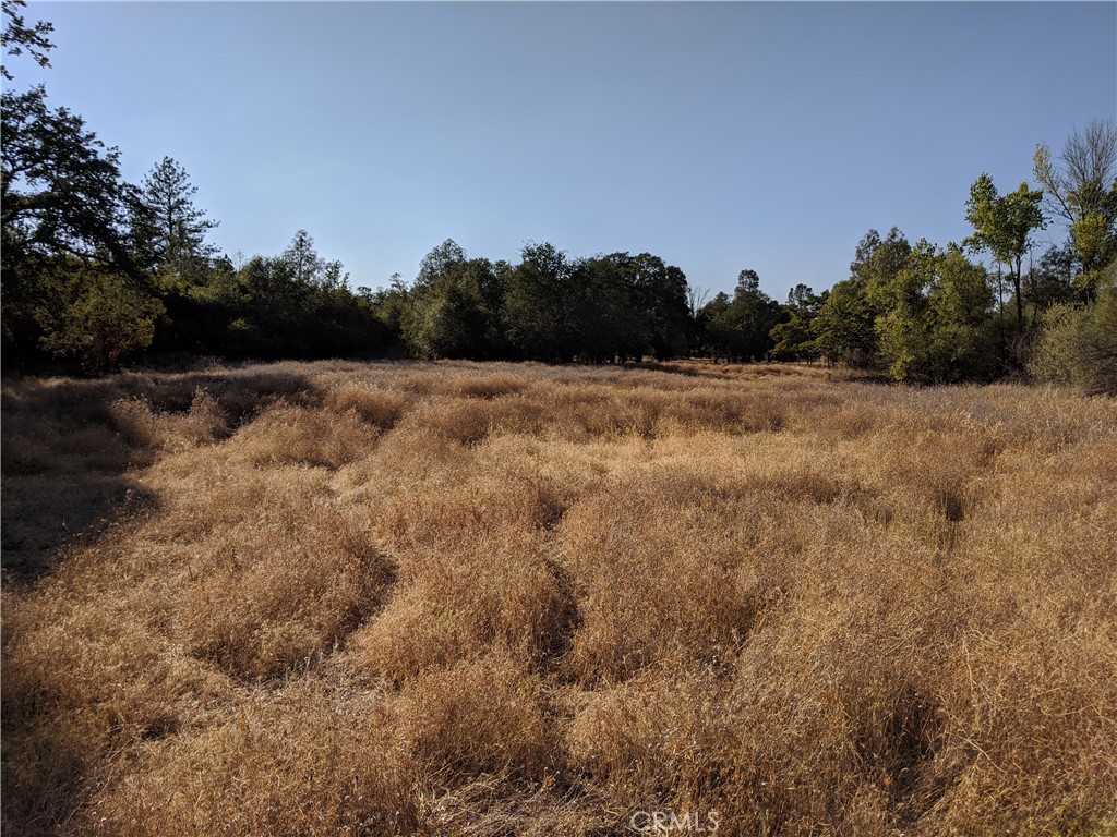 19894 Black Bass Pass Property Photo 12