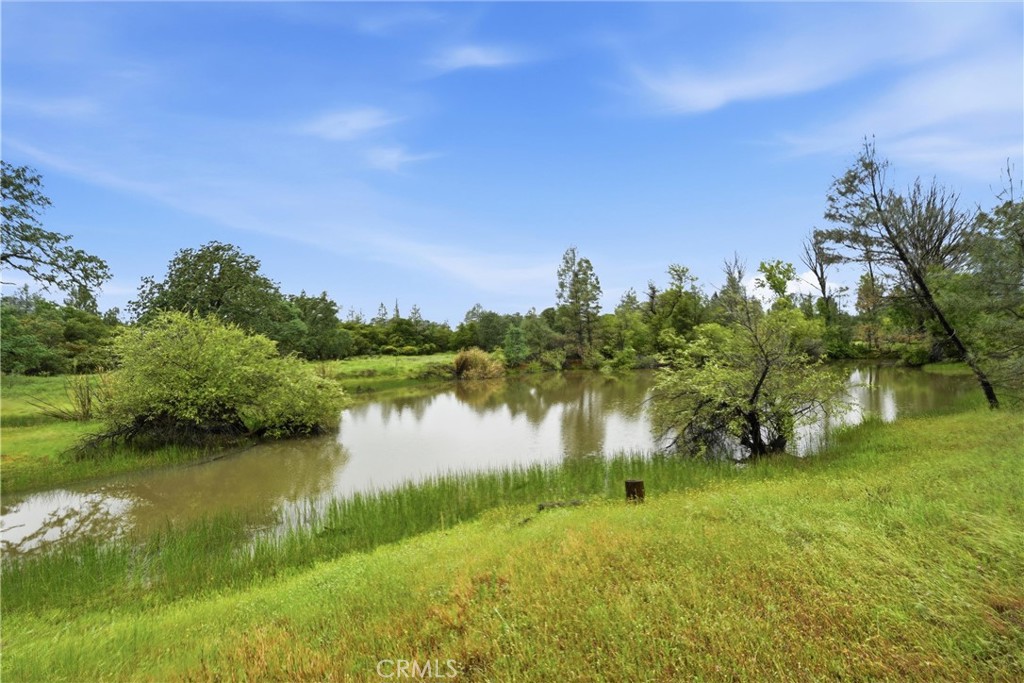 19894 Black Bass Pass Property Photo 15
