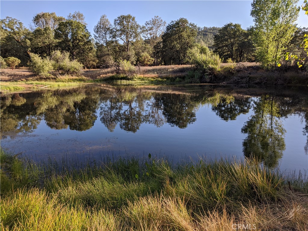 19894 Black Bass Pass Property Photo 17