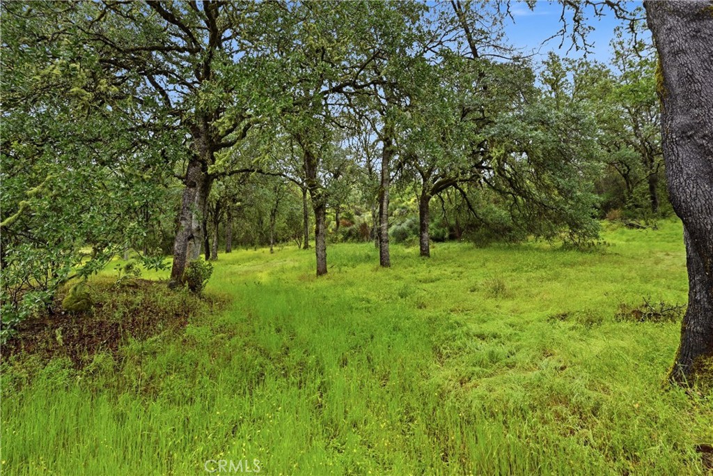 19894 Black Bass Pass Property Photo 20