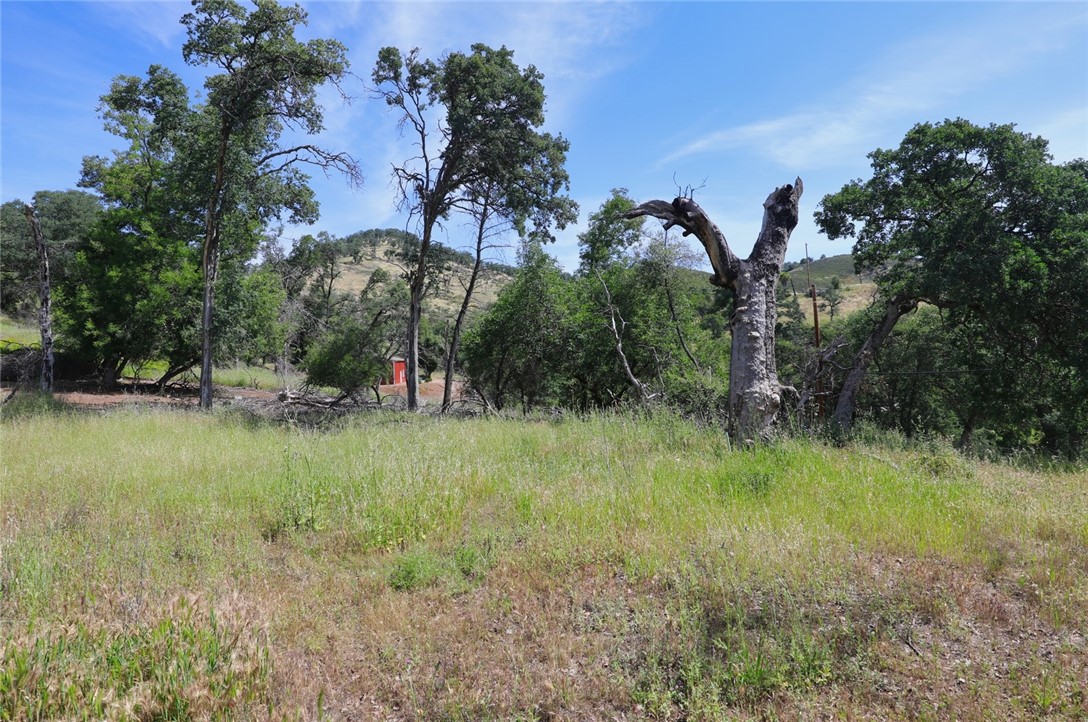 3168 3178 Oak Crest Property Photo 13