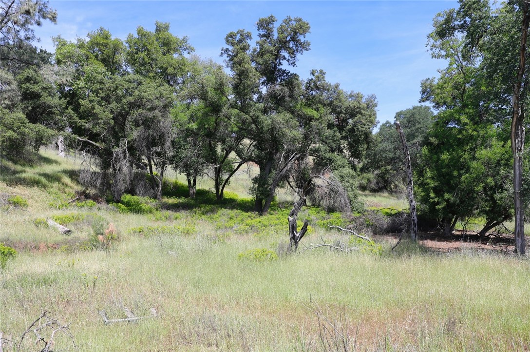 3168 3178 Oak Crest Property Photo 14