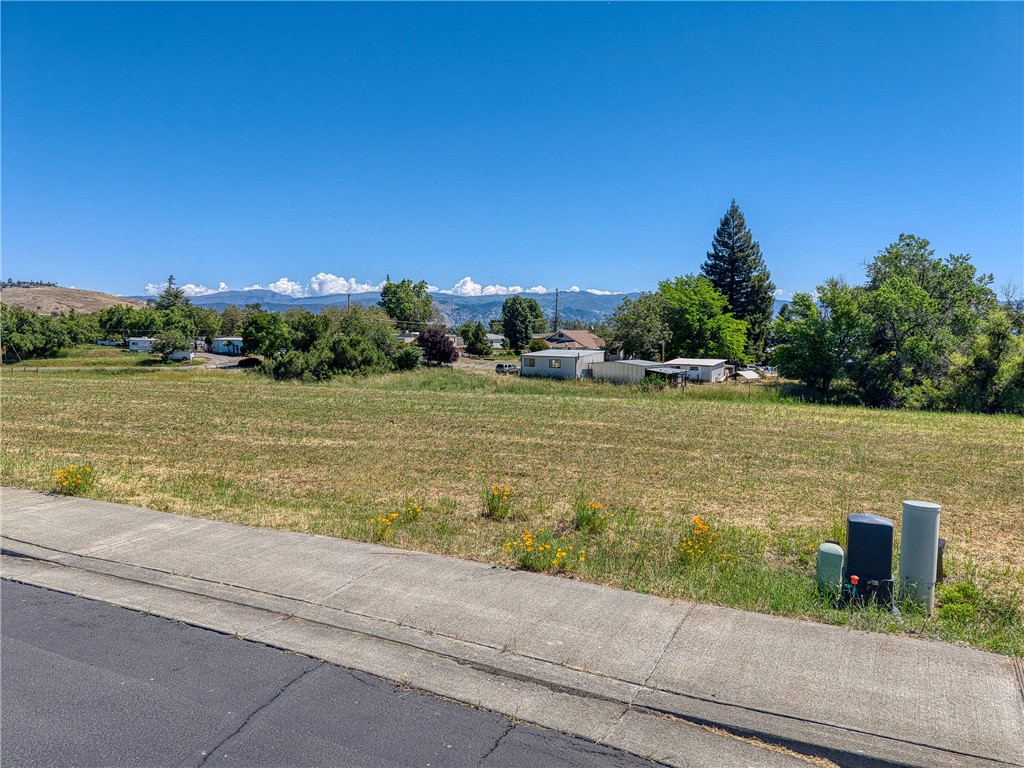 2770 Lizzy Lane Property Photo 4