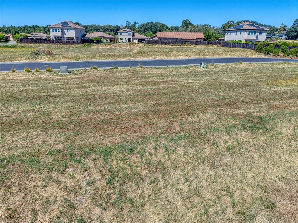 2776 Lizzy Property Photo 5