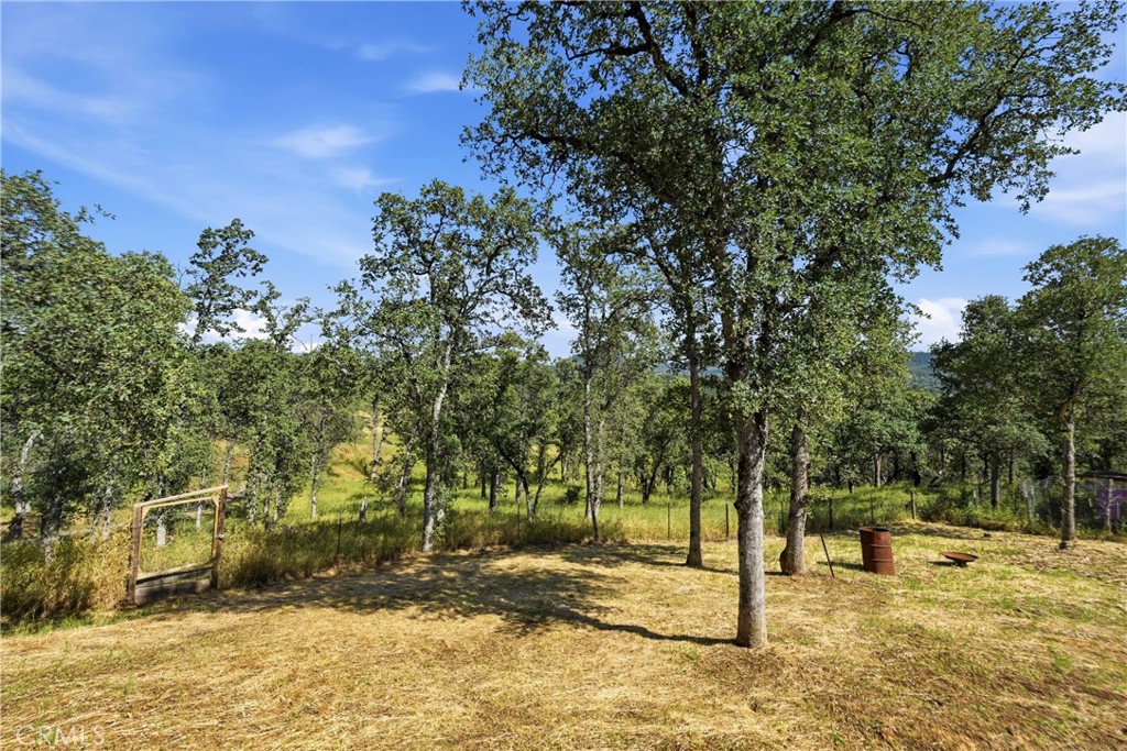 15937 Joseph Trail Property Photo 21