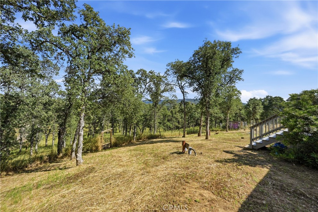 15937 Joseph Trail Property Photo 23