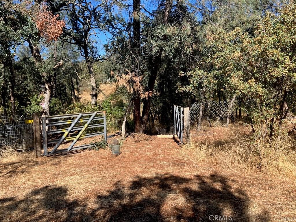 15466 Palm Avenue Property Photo 2