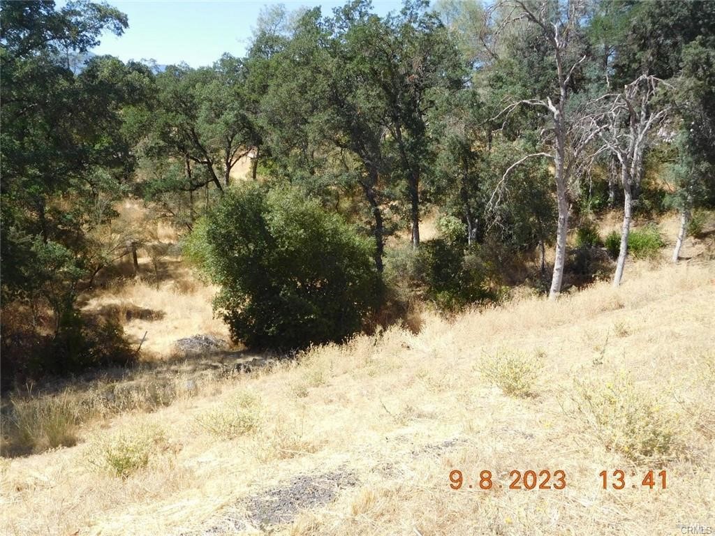 15466 Palm Avenue Property Photo 3