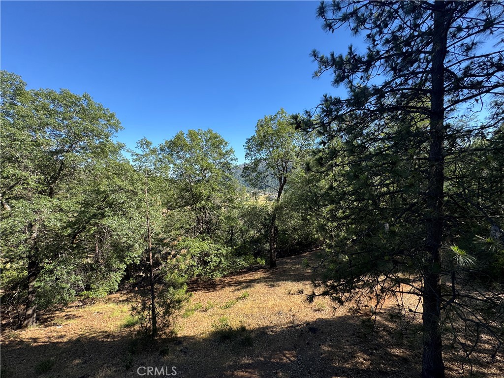 9651 St. Helena Drive Property Photo 33
