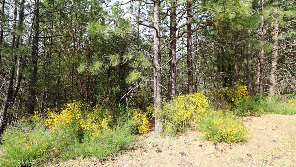 9072 Fox Drive Property Photo 1