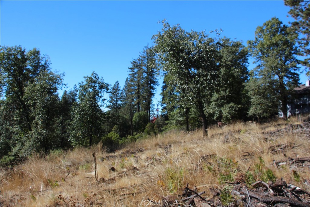 9072 Fox Drive Property Photo 3
