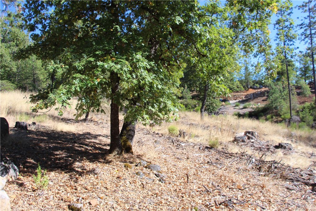 9072 Fox Drive Property Photo 5