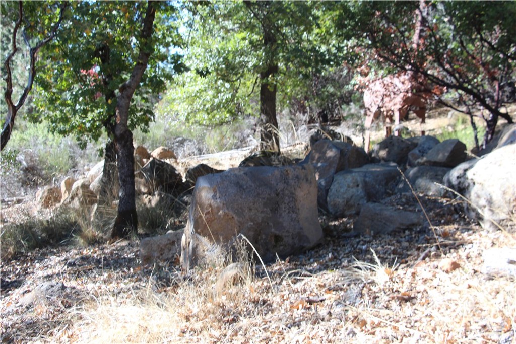 9072 Fox Drive Property Photo 6