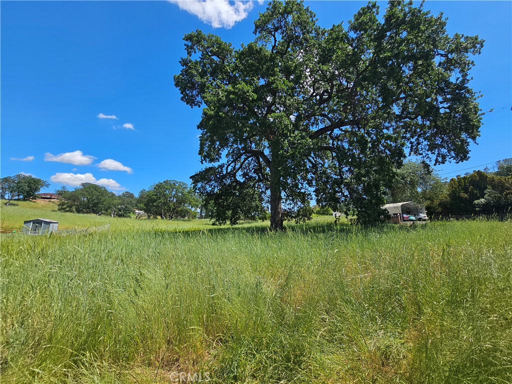 16440 Rose Property Photo 1