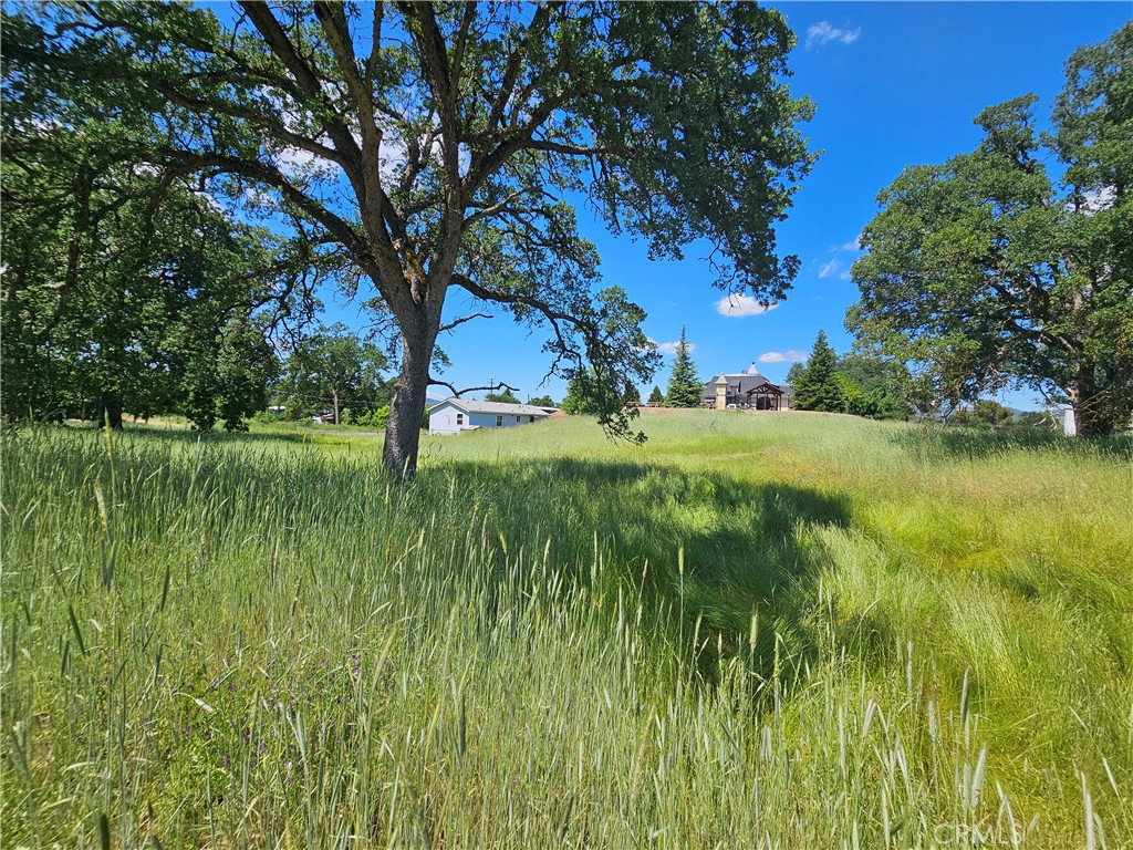 16440 Rose Property Photo 2
