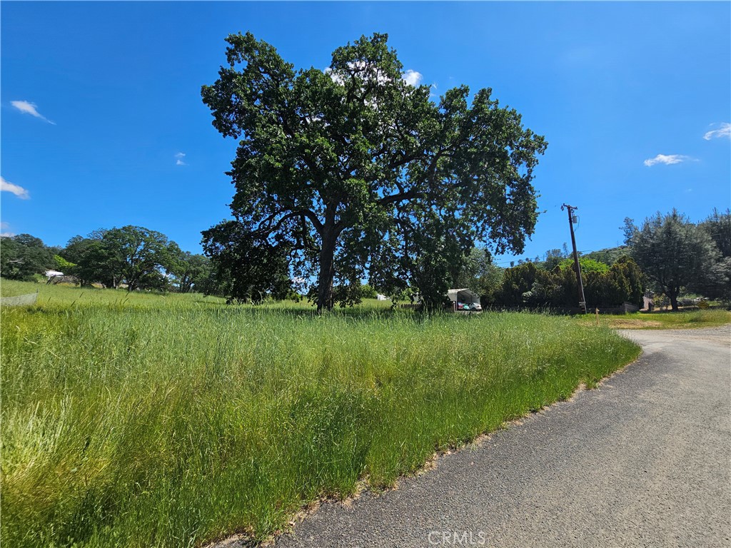 16440 Rose Property Photo 3
