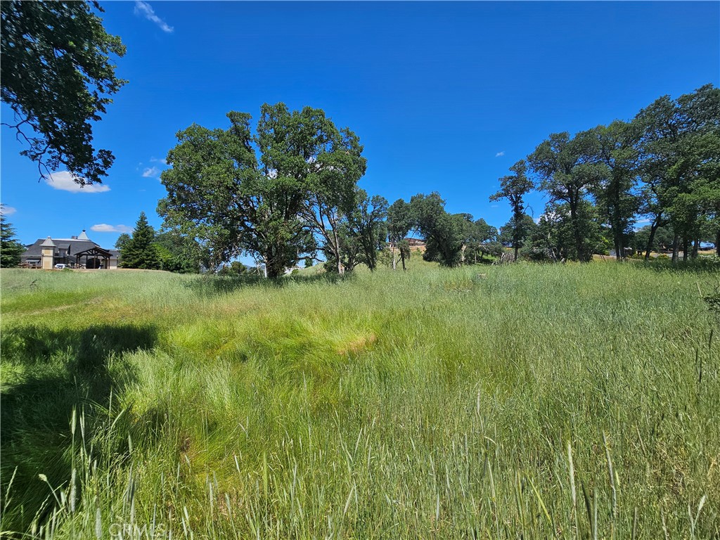 16440 Rose Property Photo 4