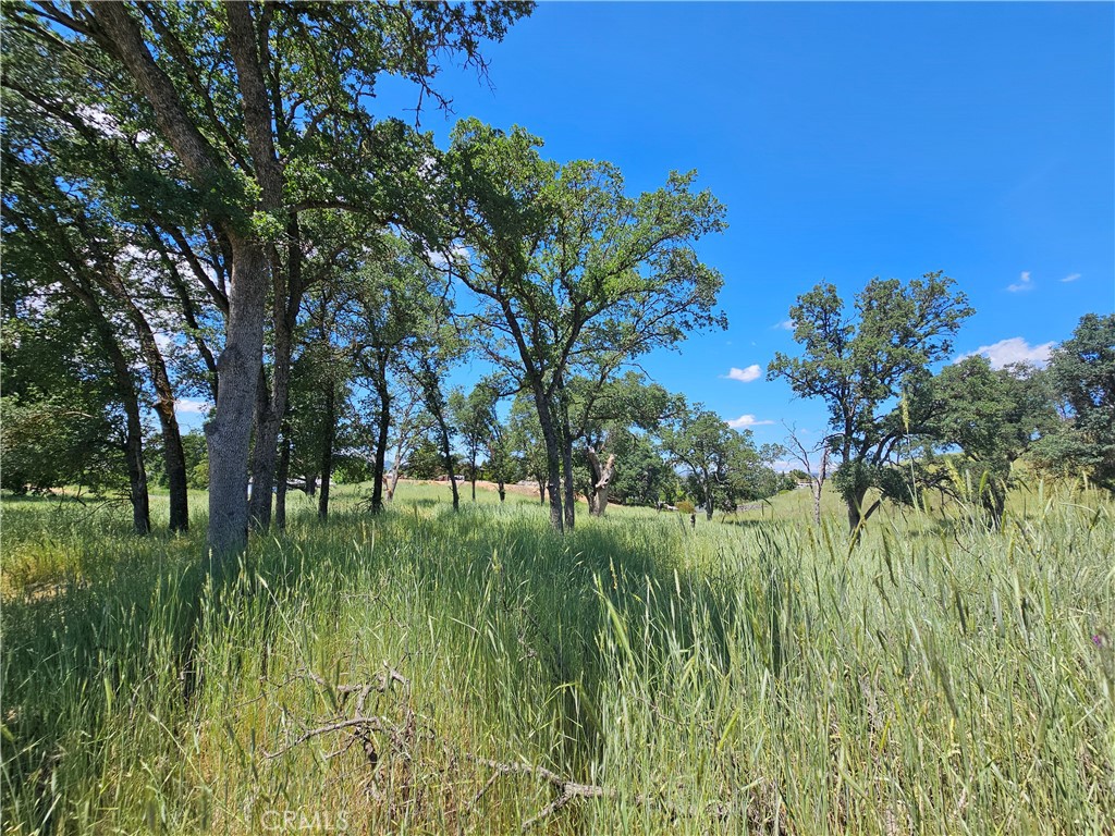 16440 Rose Property Photo 5