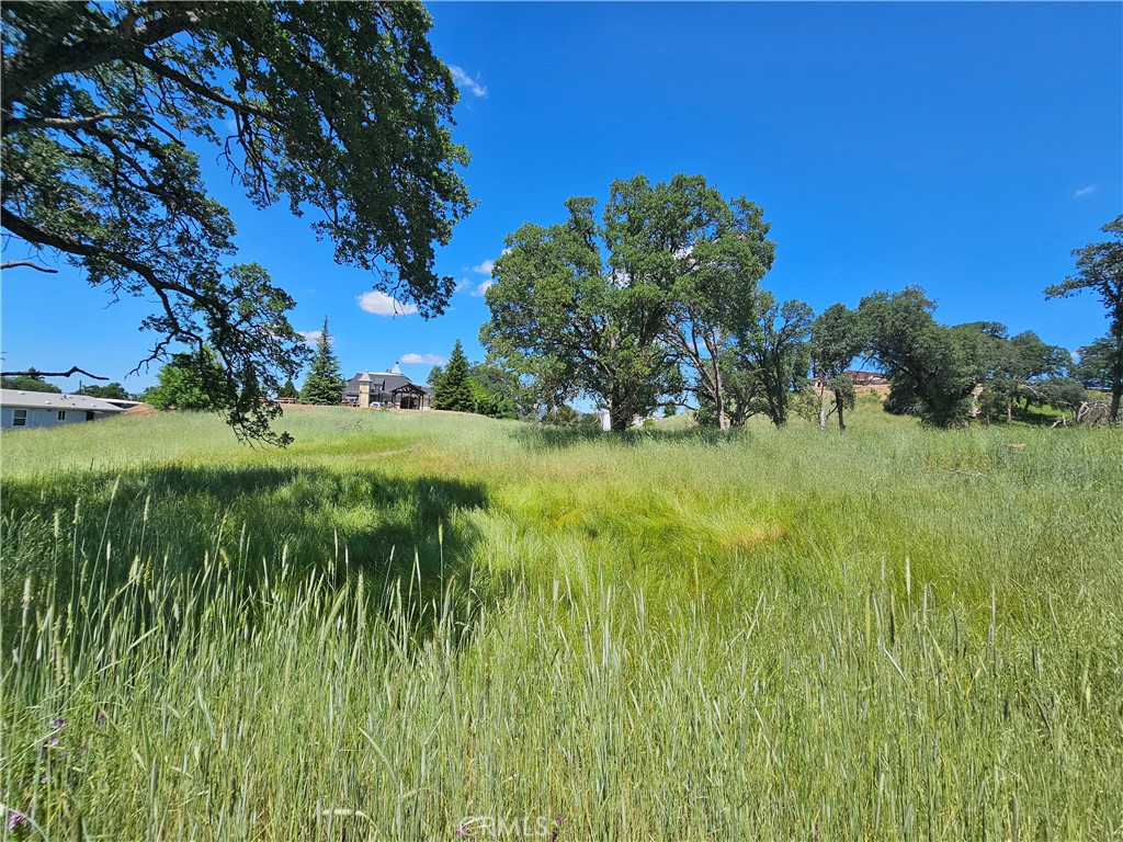 16440 Rose Property Photo 7