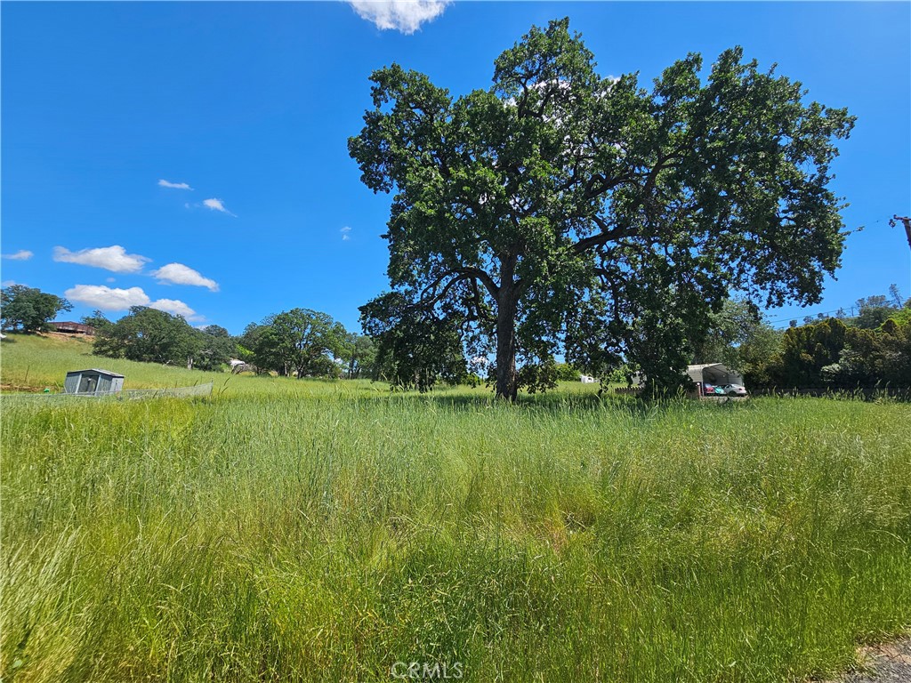16440 Rose Property Photo 8