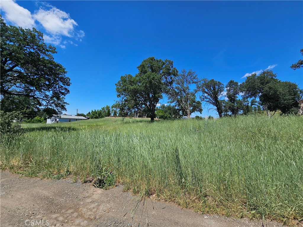 16440 Rose Property Photo 10