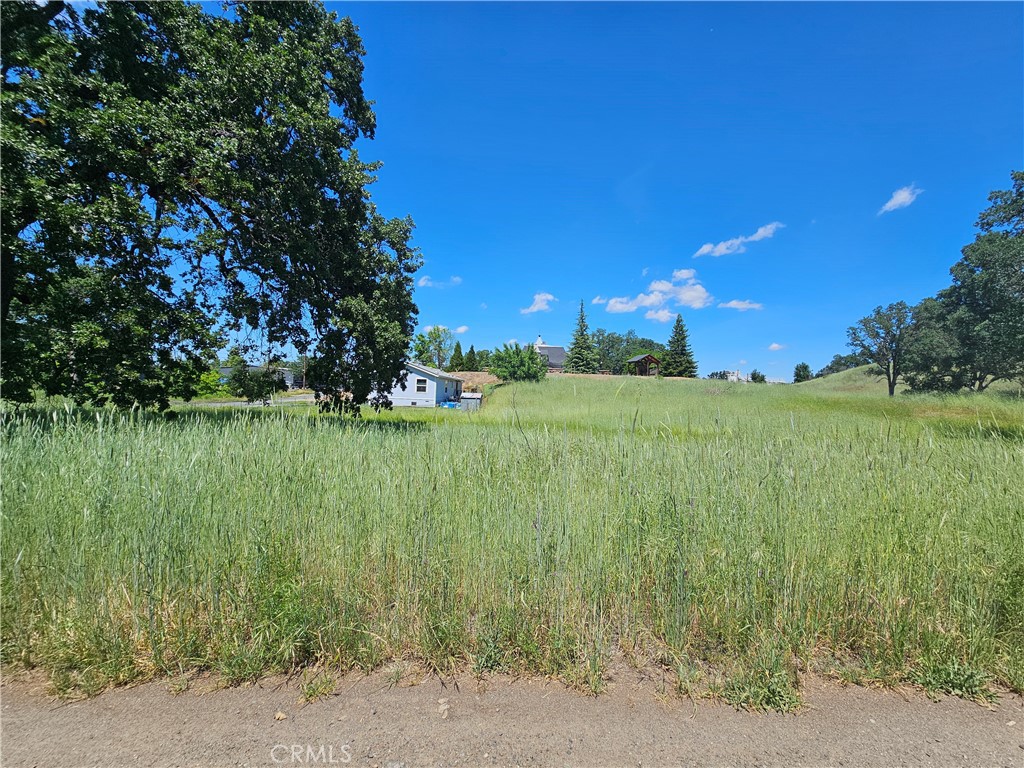 16440 Rose Property Photo 11