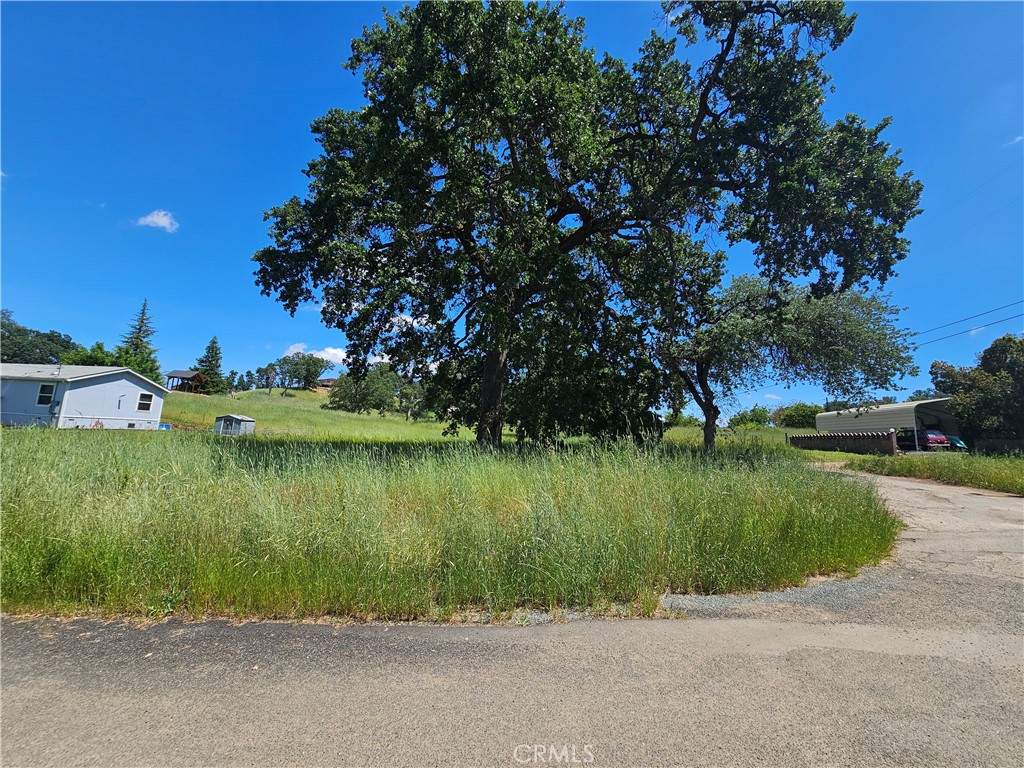 16440 Rose Property Photo 12