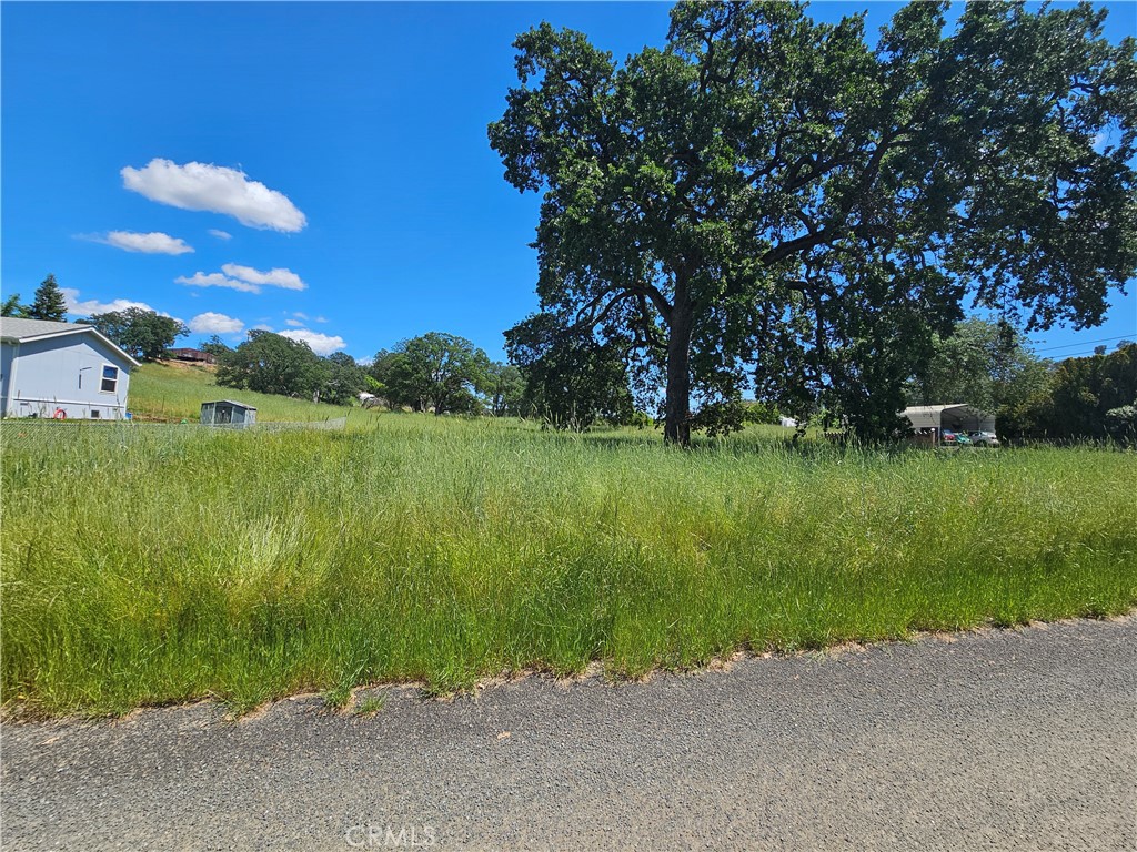16440 Rose Property Photo 13
