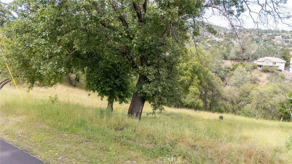 16985 Knollview Property Photo 11