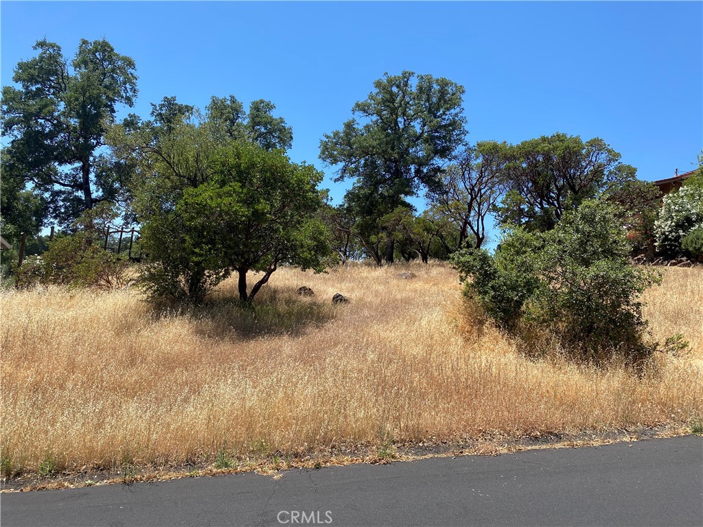 18267 N Shore Drive Property Photo 1