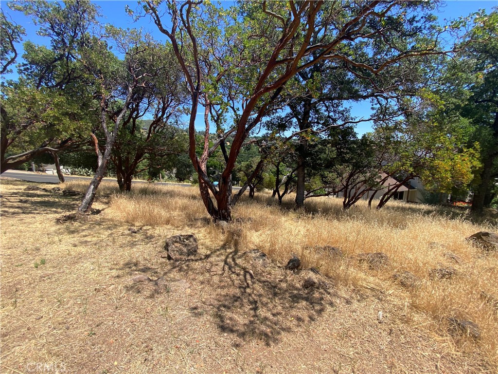 18267 N Shore Drive Property Photo 3