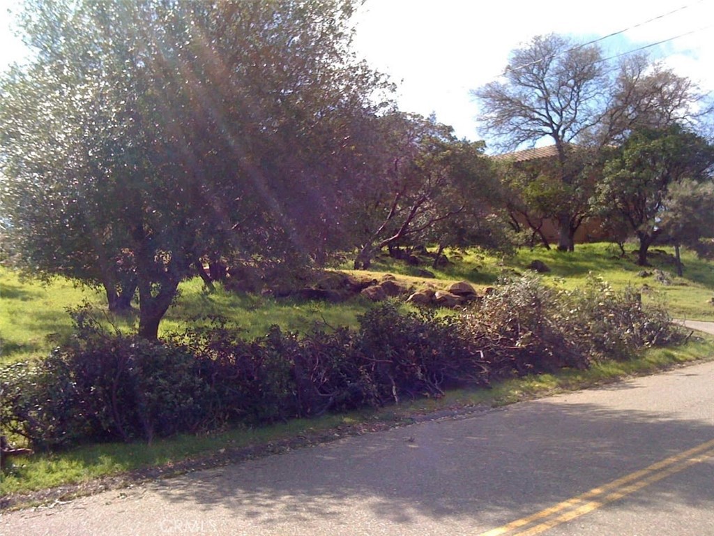 18267 N Shore Drive Property Photo 5