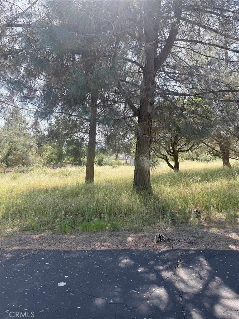19303 Ravenhill Property Photo 4
