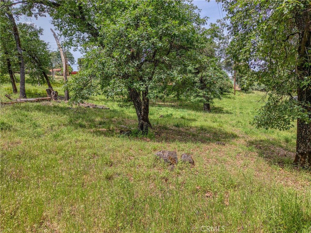 5290 Lake Boulevard Property Photo 47