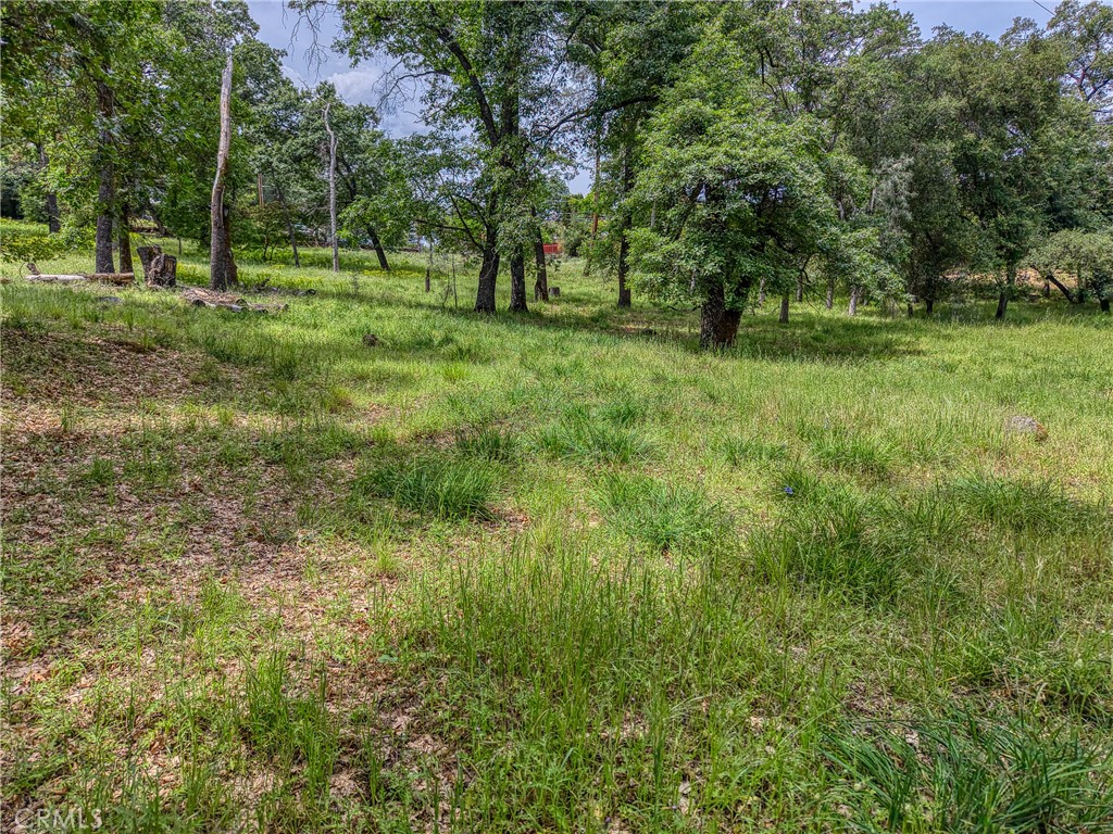 5290 Lake Boulevard Property Photo 52