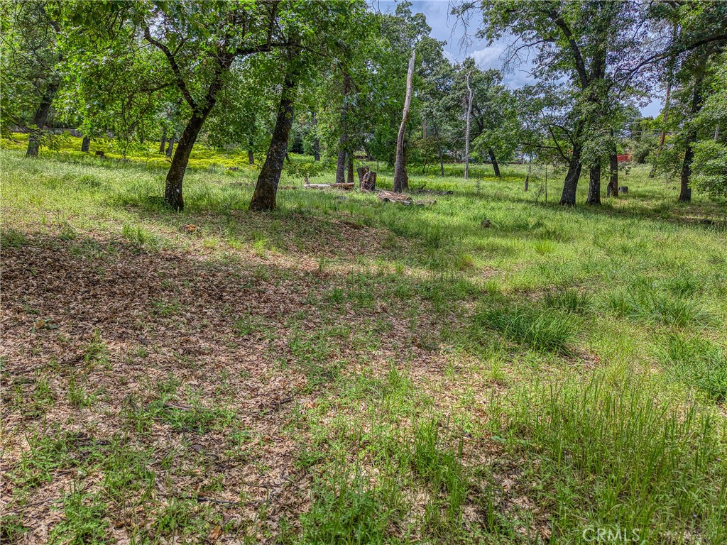 5290 Lake Boulevard Property Photo 53