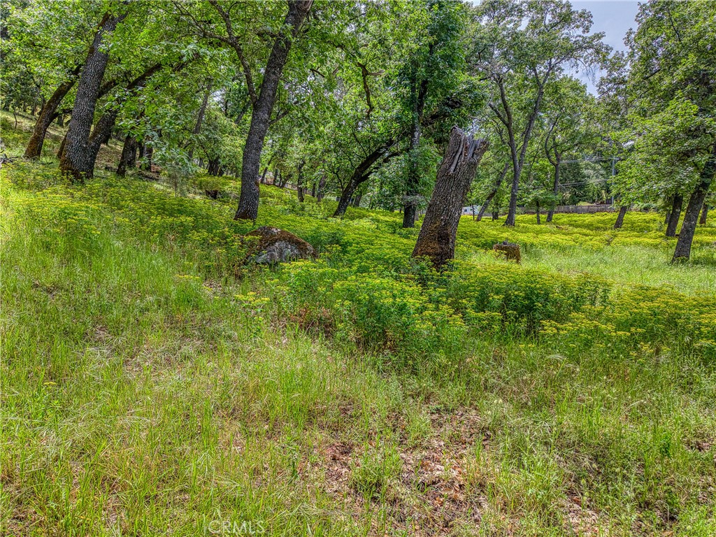 5290 Lake Boulevard Property Photo 54