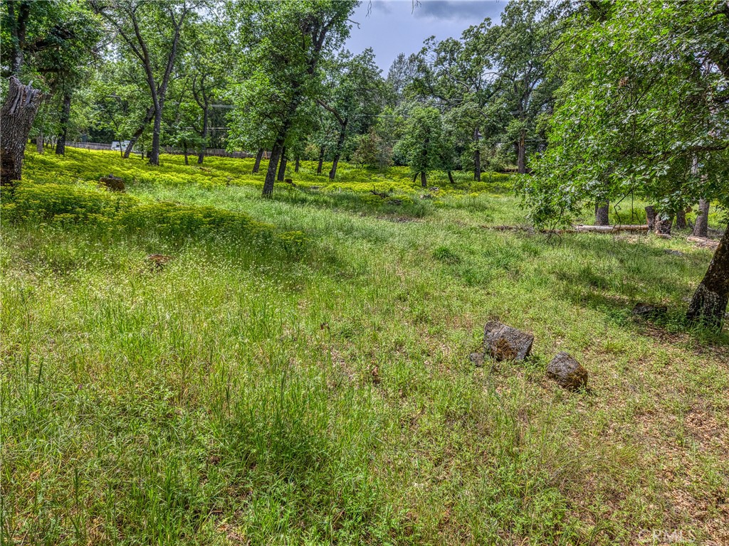 5290 Lake Boulevard Property Photo 55