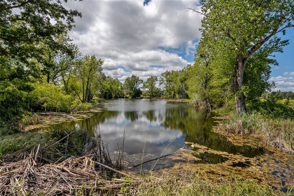 4500 Clark Property Photo 7