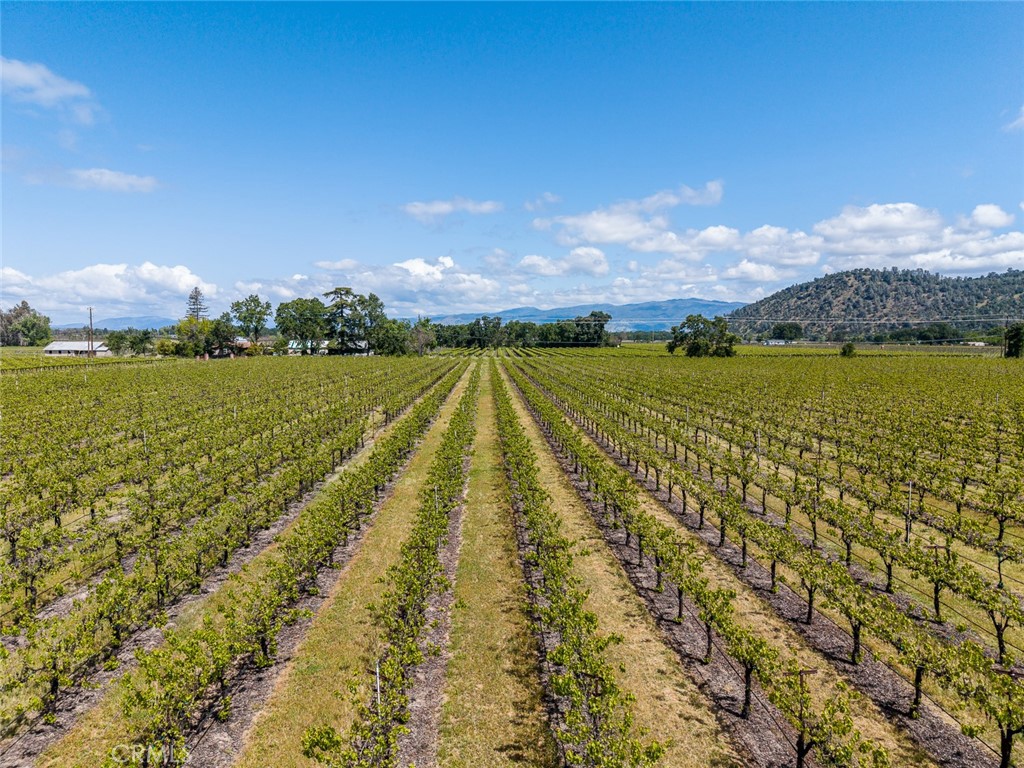 4500 Clark Property Photo 15