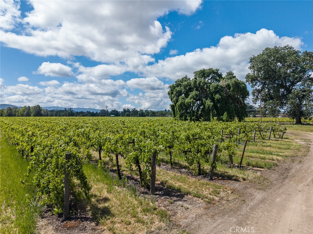 4500 Clark Property Photo 16