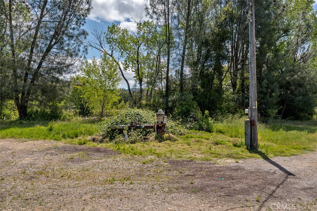 4500 Clark Property Photo 19