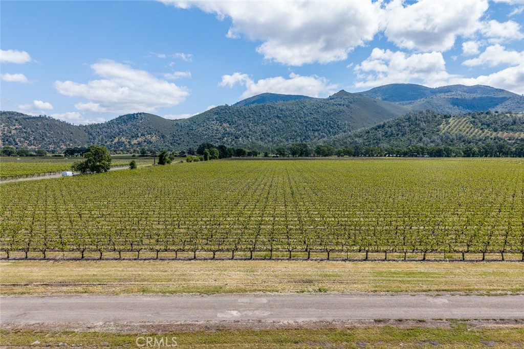 4500 Clark Property Photo 22