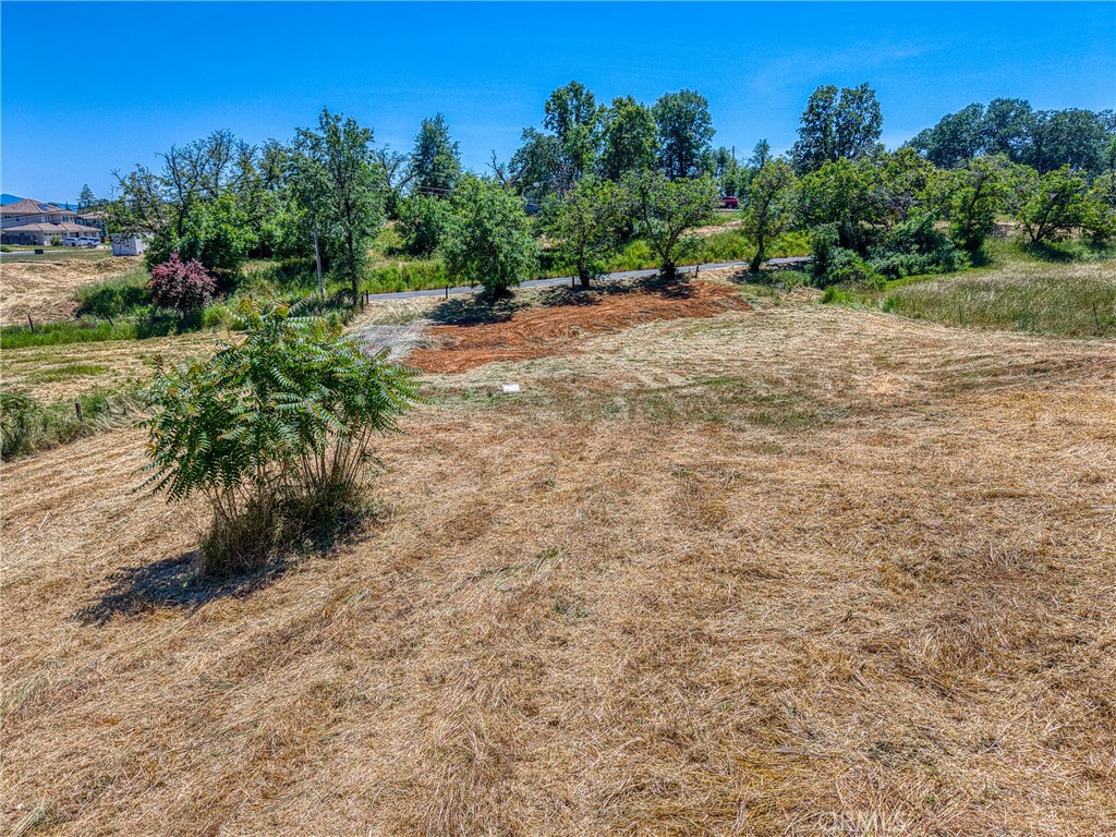 475 Shannon Lane Property Photo 15