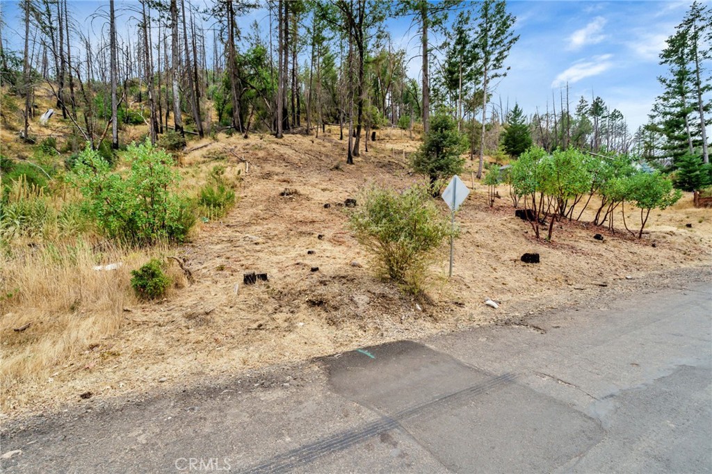 11541 Anderson Springs Road Property Photo 1