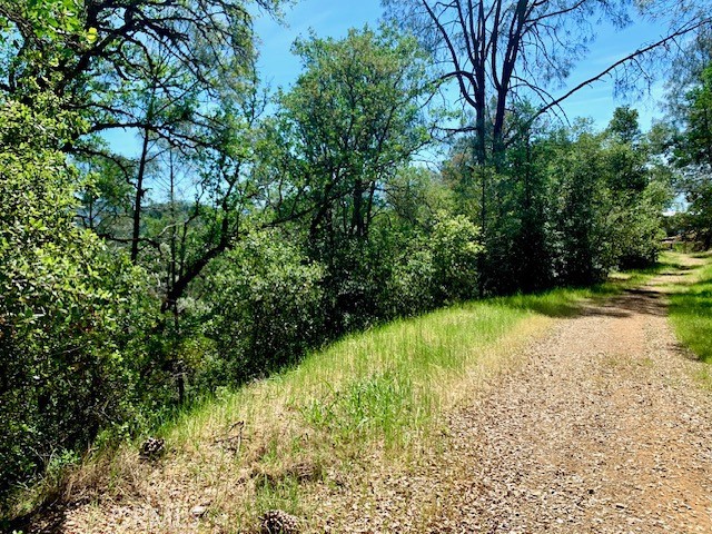7268 Shasta Property Photo 1
