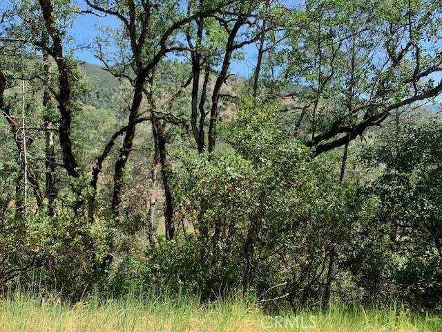 7268 Shasta Property Photo 2